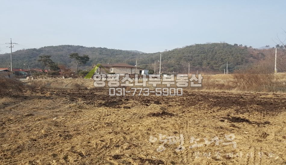 양평군 옥천면 용천리 사나사 가는길 무난한 평지