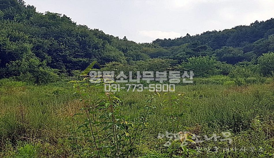 양평군 단월면 보룡리 북쪽 트인전망/분할가능/면소재지