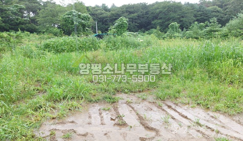 양평군 용문면 망능리 저렴한 관리지역 농지/남향