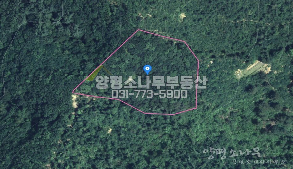 양평군 강하면 항금리 원형질 임야/묫자리