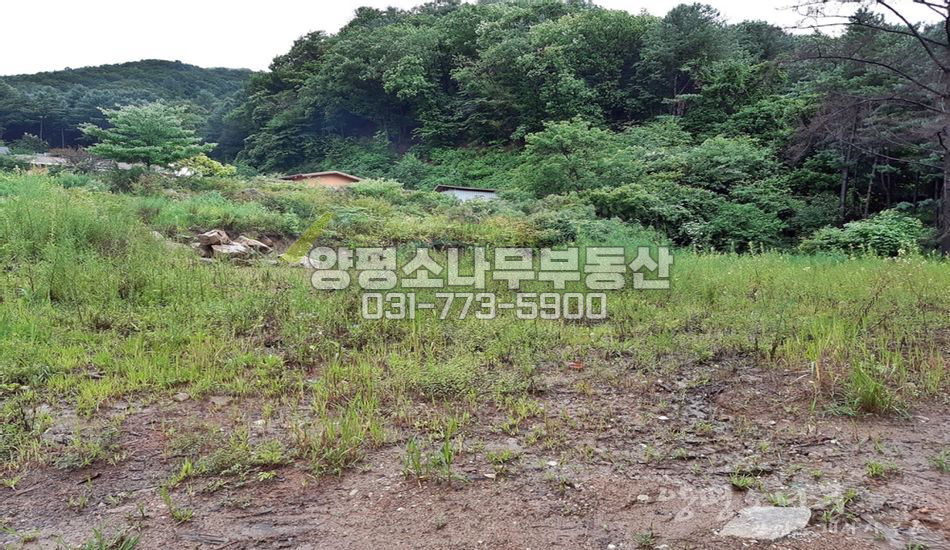 양평군 서종면 서후리 아늑한 숲 속 토지 