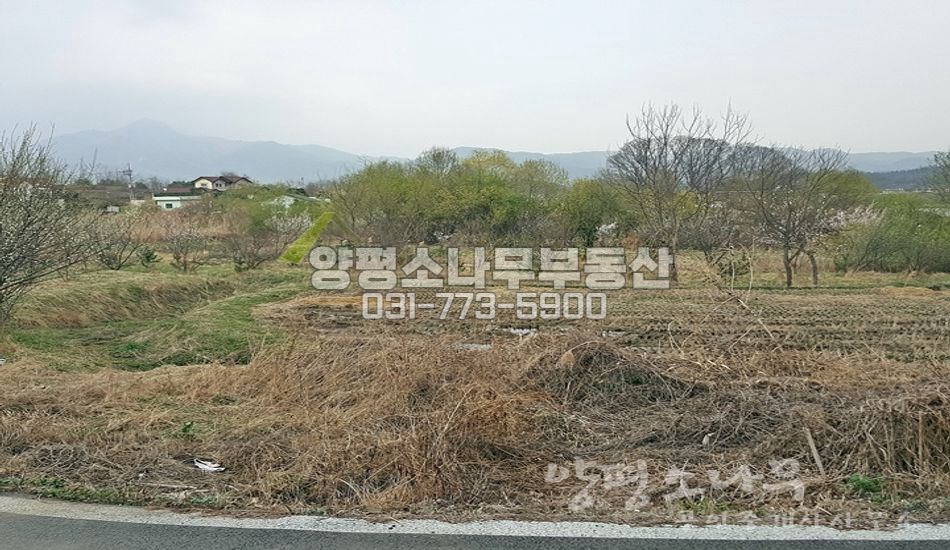 양평군 강상면 교평리 강조망 추천 농림지역 땅