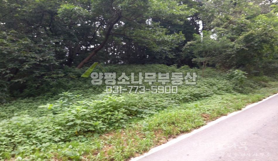 양평군 개군면 공세리 마을 내 원형질 임야