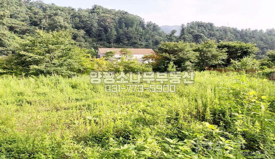 양평군 서종면 노문리 대로변 주택지/국유지 추가사용