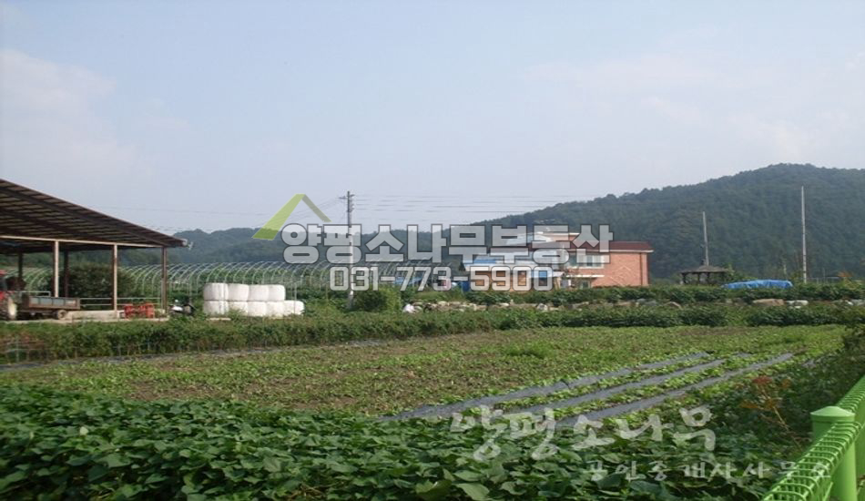양평군 양서면 증동리 초등학교 앞 네모반듯한 땅