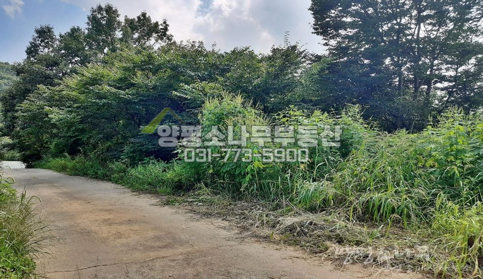 양평군 옥천면 신복리 접근성 좋은 곳 임야