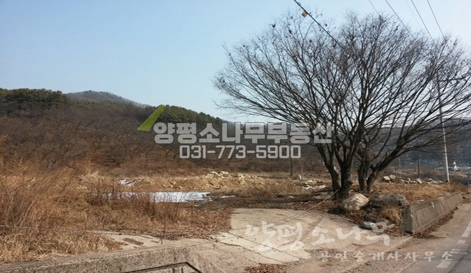 양평군 용문면 연수리 대로변 진흥구역