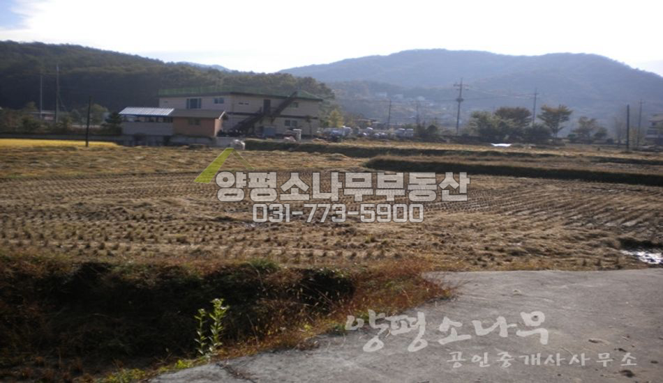 양평군 강하면 성덕리 무난한 진흥구역 토지