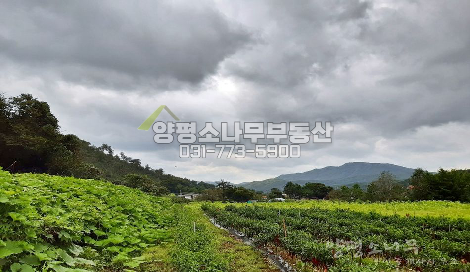 양평군 단월면 부안리 농사짓기 좋은땅/지방도인근