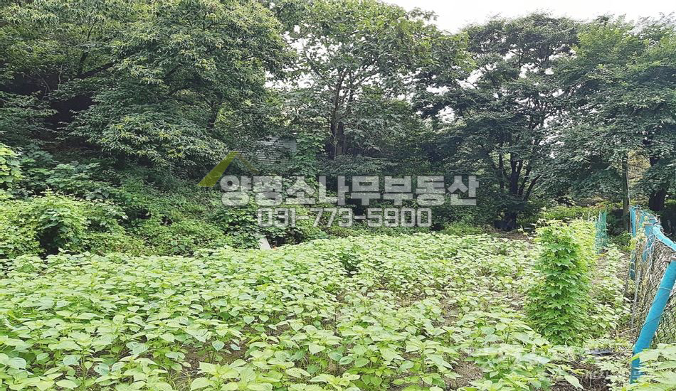 양평군 강상면 대석리 깊숙한곳 인근 계곡