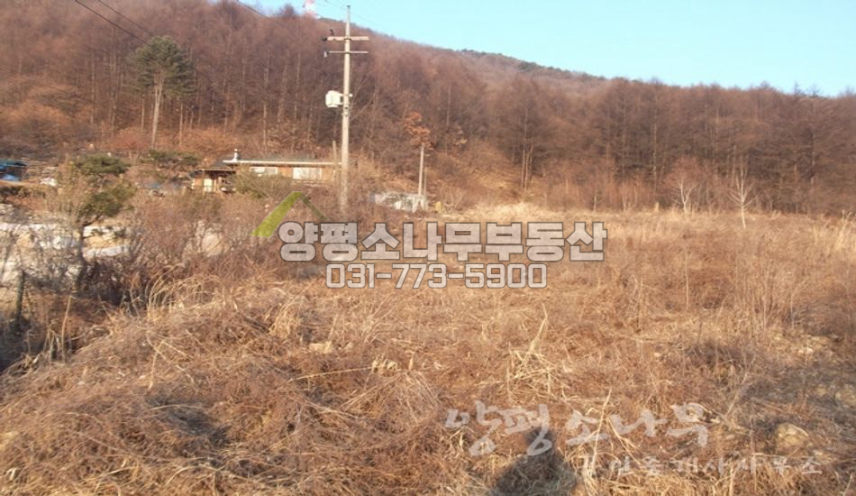 양평군 청운면 삼성리 마을 끝 산자락 넓은땅
