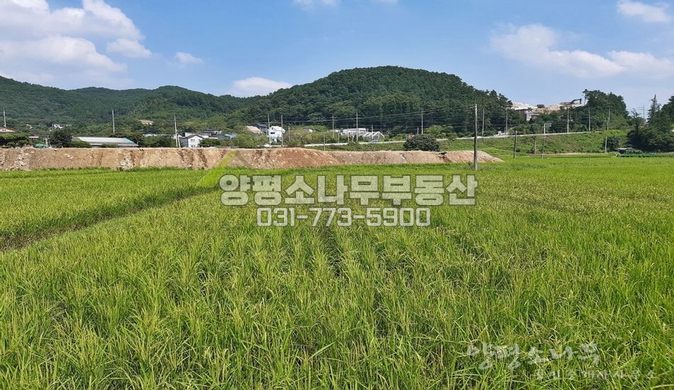양평군 옥천면 신복리 네모반듯 진흥구역/접근성 상