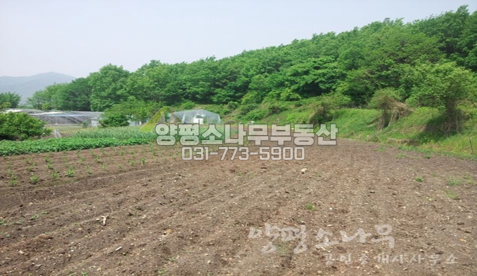 양평군 지평면 월산리 건축가능 농지/평지/남향