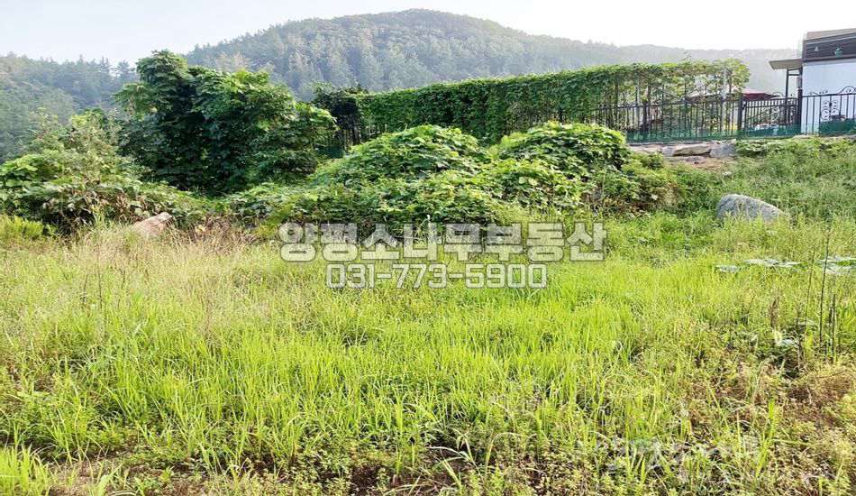 양평군 강상면 병산리 언덕위 전망좋은 길쭉한 토지