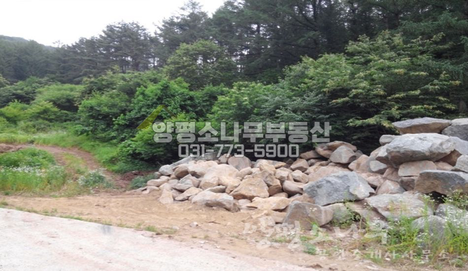 양평군 양동면 고송리 산자락/지방도200미터/한적한곳