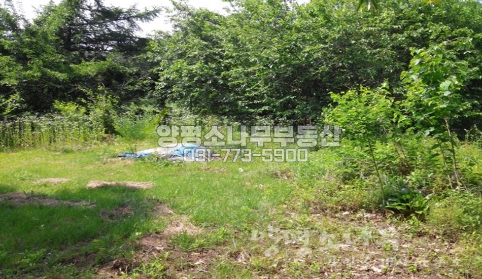 양평군 지평면 월산리 대로변 접한 저렴한 땅
