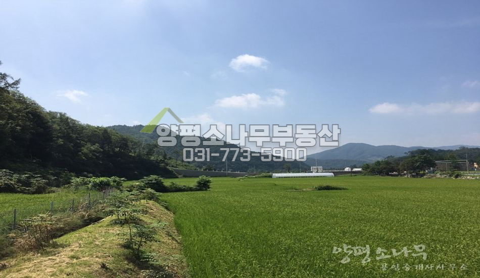 양평군 용문면 조현리 조현초 인근 개발부지