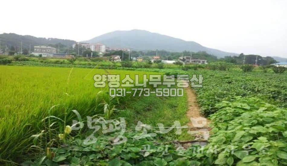 양평군 용문면 마룡리 무허가주택/용문역3분