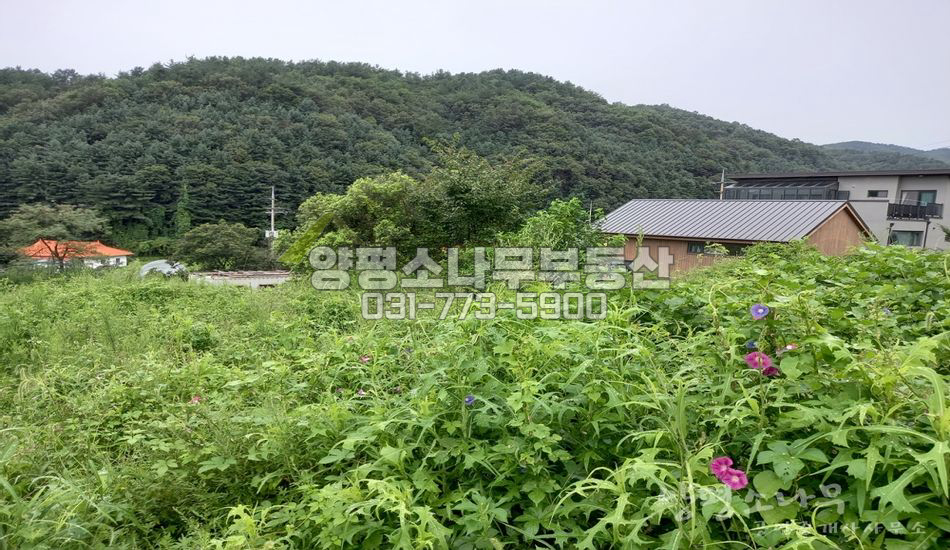 양평군 양서면 부용리 양수역 차량 5분/무난한 땅