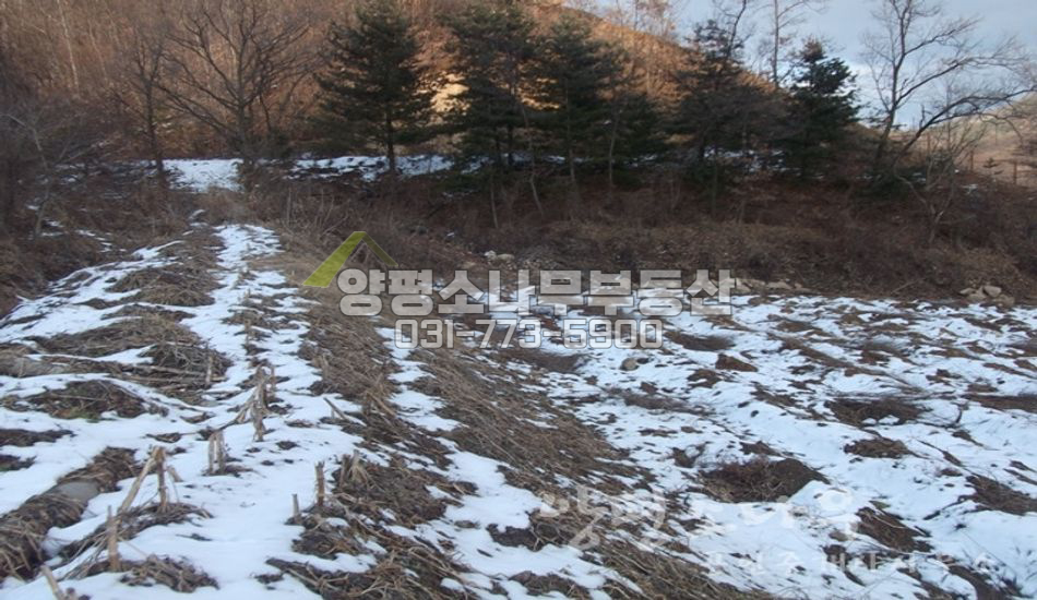 양평군 지평면 일신리 일신역(기차역)도보/비포장