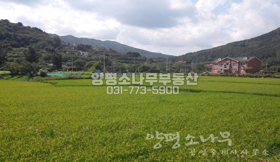 양평군 용문면 다문리 고가도로 아래/6m진입도로