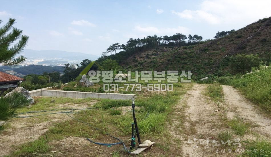 양평군 강상면 송학리 강조망/토목완료/2단지형