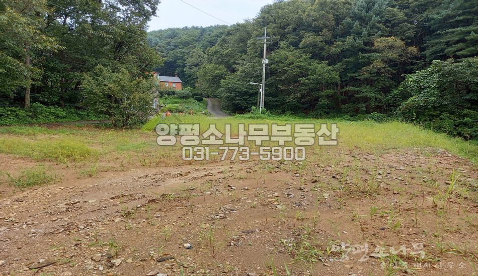 양평군 양서면 부용리 양수역5분/완만한곳