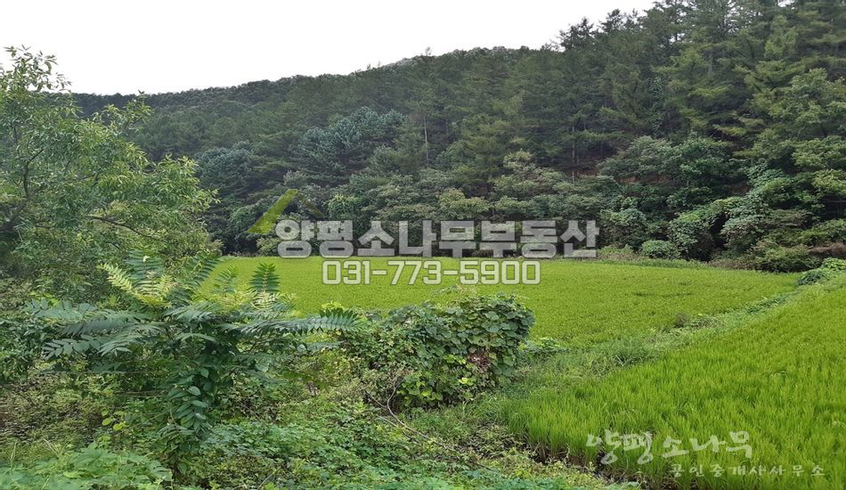 양평군 단월면 부안리 저렴한 건축가능 농지