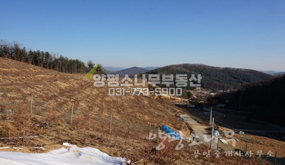 양평군 용문면 덕촌리 약초재배,유실수 식재용