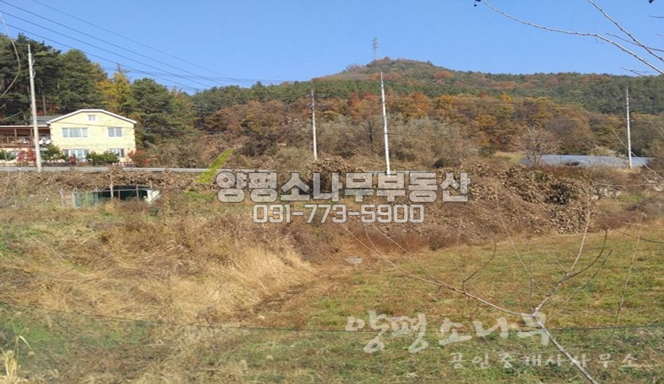 양평군 용문면 삼성리 지방도 인근 알땅