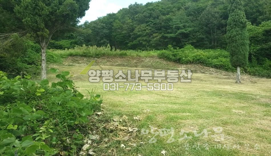 양평군 지평면 일신리 마을끝/국유하천,국유림 접함
