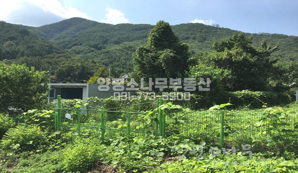 양평군 강상면 대석리 언덕 위 필지/개울인근