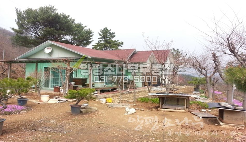 양평군 지평면 망미리 독립적 입지 터넓은 주택