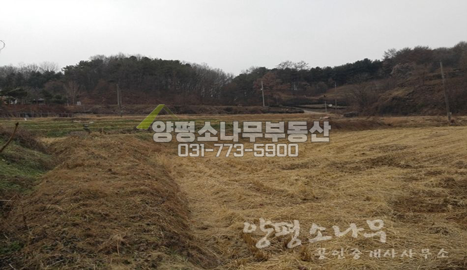 양평군 지평면 지평리 면소재지 인근/평지