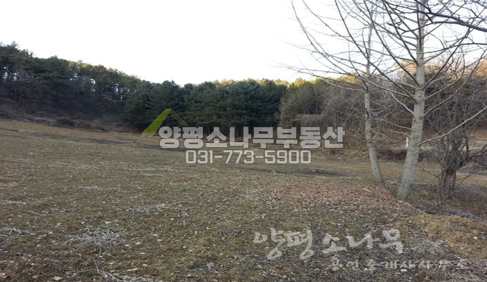 양평군 청운면 비룡리 전망좋은 언덕위 땅/맹지