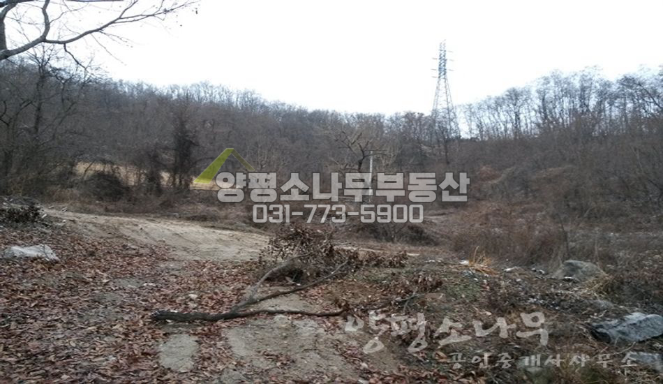양평군 양평읍 오빈리 오빈역 도보/남한강조망