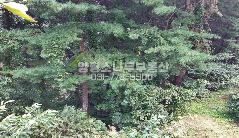 양평군 서종면 명달리 풍광좋은곳 개발부지