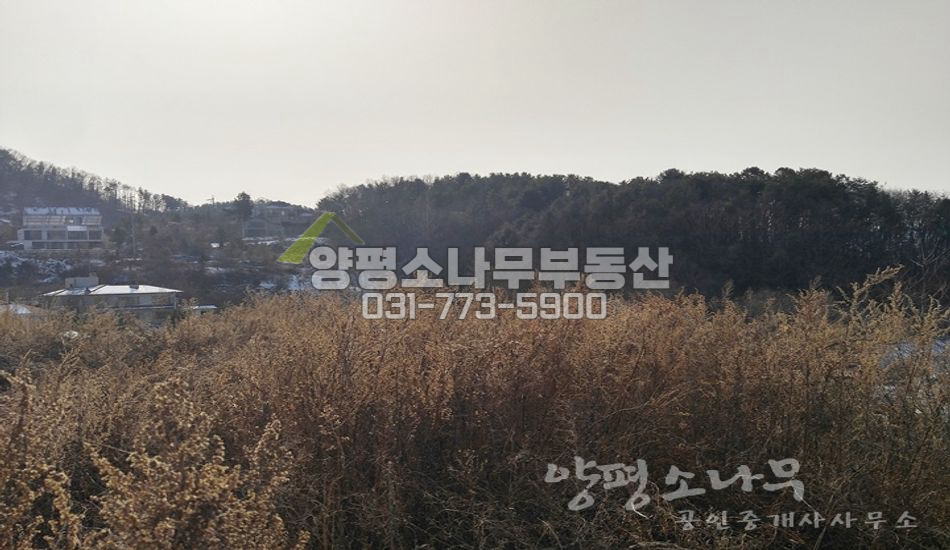 양평군 서종면 문호리 문호리 최고입지/단지형 강조망
