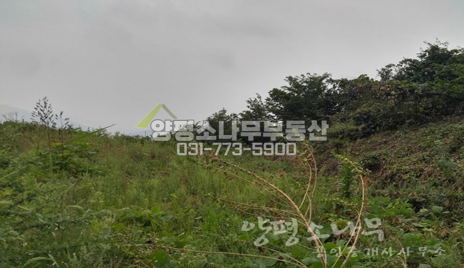 양평군 양평읍 백안리 쉬자파크가는길 전망좋은 땅