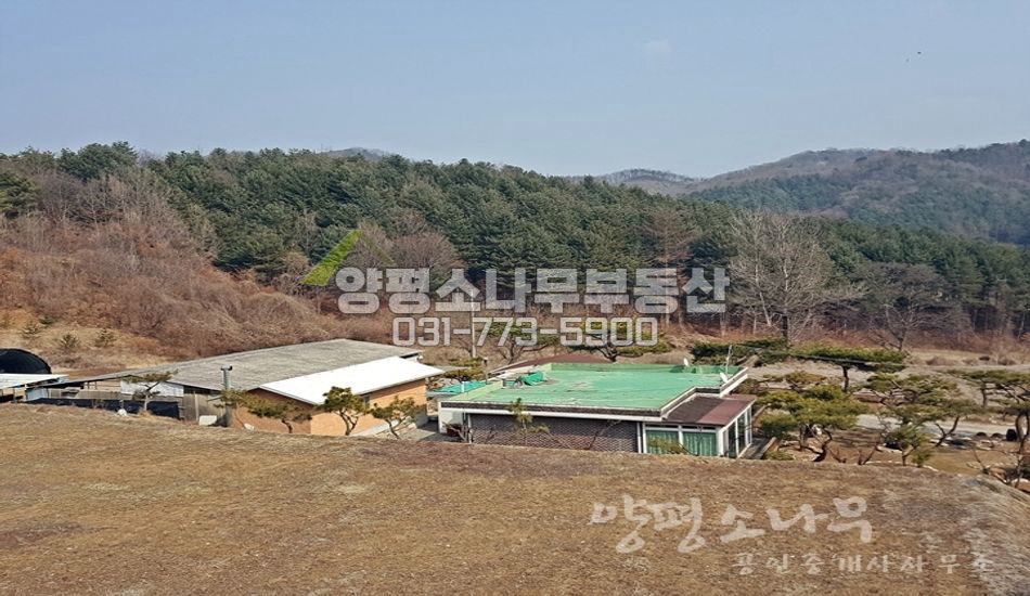 양평군 단월면 덕수리 자연림 개발부지
