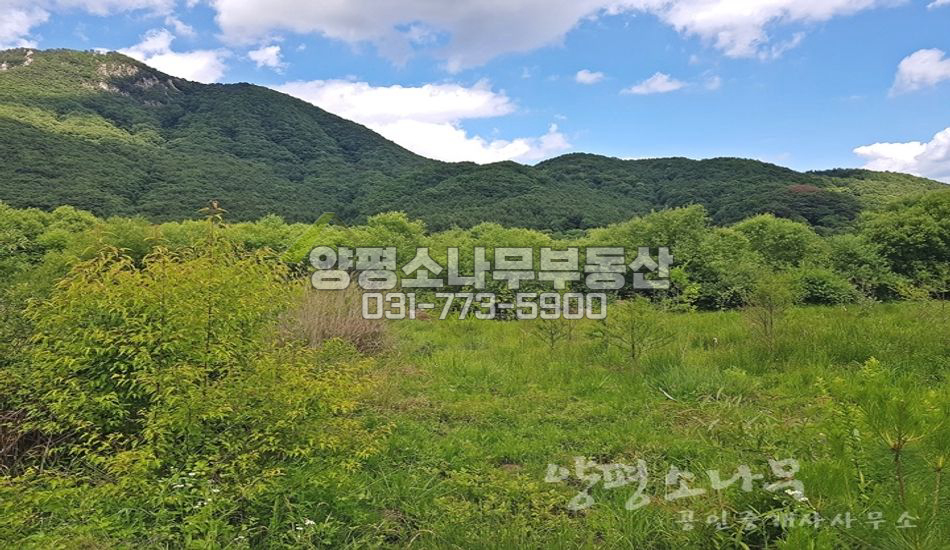 양평군 용문면 신점리 용문산관광지 인근 마을안쪽