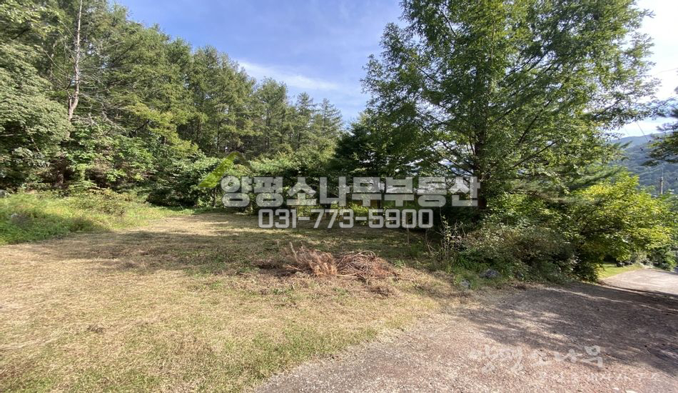 양평군 강하면 성덕리 마을 끝 산자락/토목완료