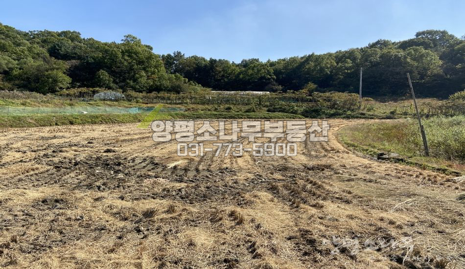 양평군 양평읍 봉성리 자연스런 마을내/원덕역1.5KM