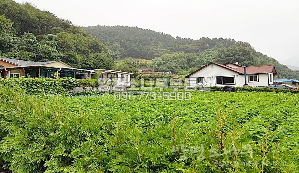 양평군 용문면 중원리 네모반듯/동향전망/평지