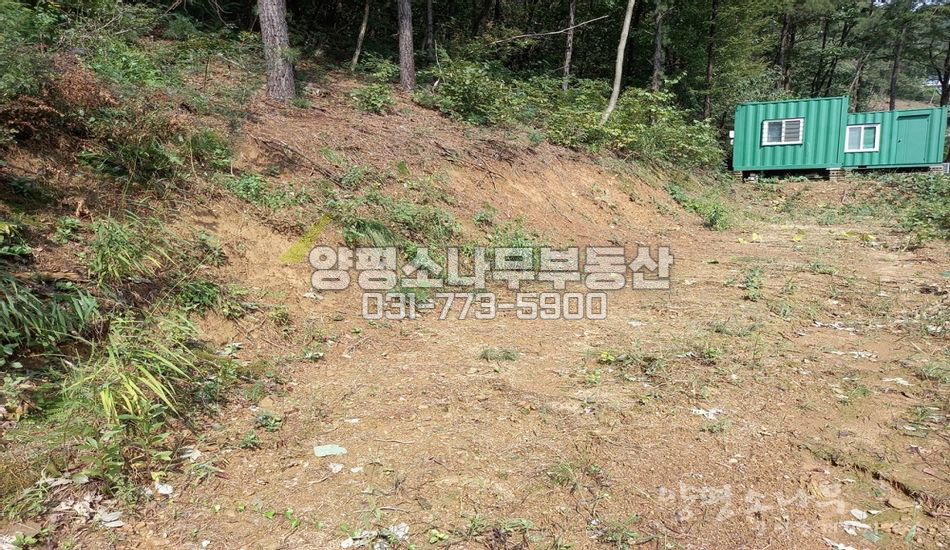 양평군 용문면 조현리 산자락 기다란 토지