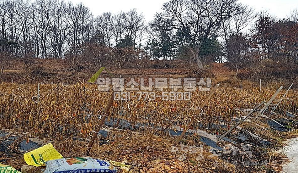 여주시 대신면 송촌리 평지 자연스런 마을내/이포대교