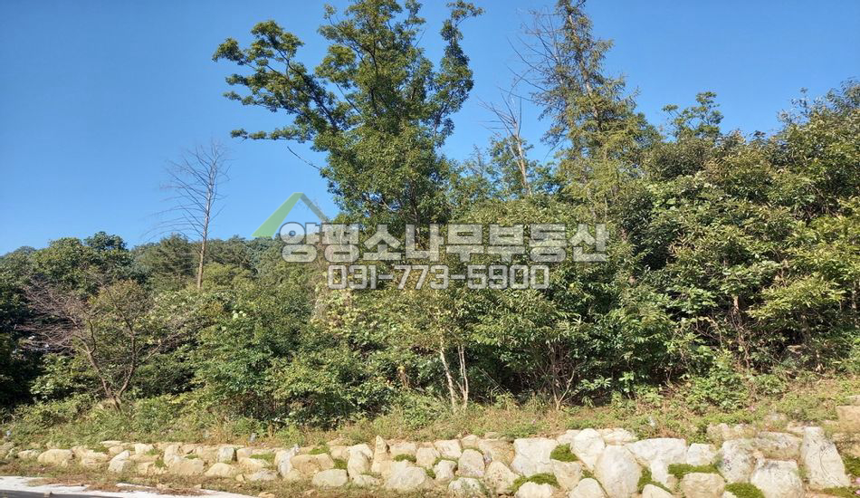 양평군 지평면 대평리 저수지 인근 언덕위 땅