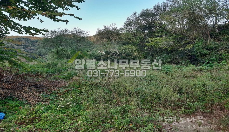 양평군 단월면 산음리 산음휴양림 인근/평지