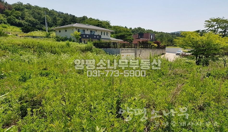 양평군 옥천면 아신리 완경사 동남향 전망/아신역 도보