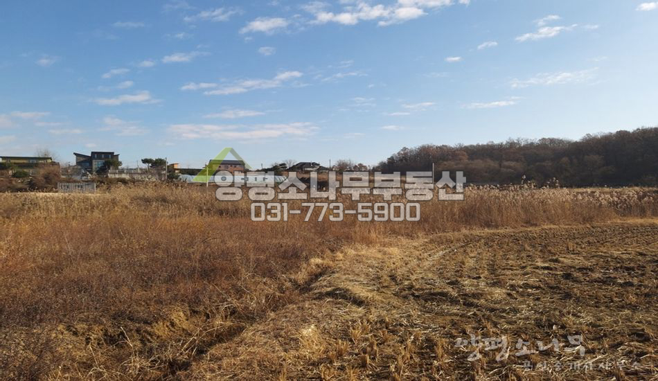 양평군 양평읍 회현리 읍내 접근성 좋은 곳 진흥구역